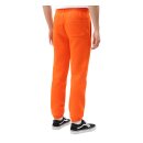 Dickies Bienville sweatpants bright orange