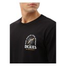 Dickies Baldwin longsleeve T-shirt black