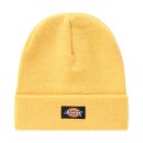Dickies Gibsland beanie apricot