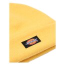 Dickies Gibsland beanie apricot