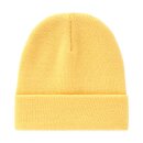 Dickies Gibsland beanie apricot