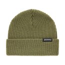 Dickies Woodworth beanie dark olive