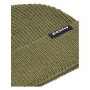 Dickies Woodworth beanie dark olive
