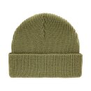 Dickies Woodworth beanie dark olive