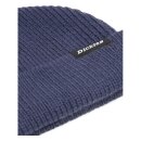 Dickies Woodworth beanie navy