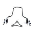 Sissy bar kit 12.50" 1-piece upright, chrome