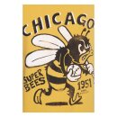 King Kerosin Chicago Super Bee raglan T-shirt yellow/black