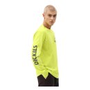 Dickies Baldwin longsleeve T-shirt sulphur