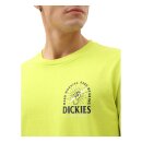 Dickies Baldwin longsleeve T-shirt sulphur