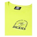 Dickies Baldwin longsleeve T-shirt sulphur