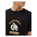 Dickies Springhill T-shirt black