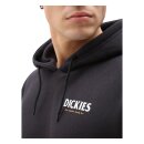 Dickies Baldwin hoodie black