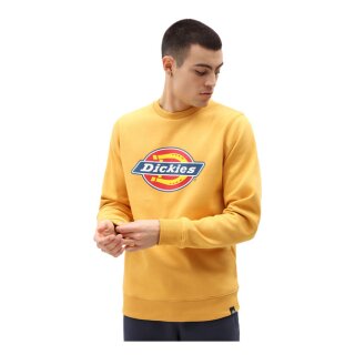 Dickies Pittsburgh sweatshirt apricot