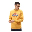 Dickies Pittsburgh sweatshirt apricot