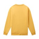 Dickies Pittsburgh sweatshirt apricot