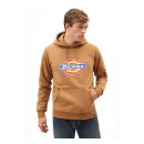 Dickies San Antonio hoodie brown duck
