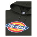 Dickies San Antonio hoodie olive green