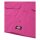 Dickies Silvergrove shirt pink berry