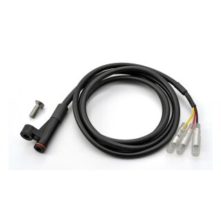 Daytona, speed pulse converter DIA10 insert