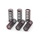 TRW clutch spring kit
