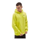 Dickies Baldwin hoodie sulphur