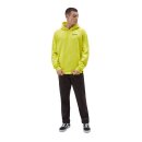 Dickies Baldwin hoodie sulphur