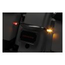 Kuryakyn, custom rear turn signal mount. Chrome