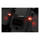 Kuryakyn, custom rear turn signal mount. Chrome