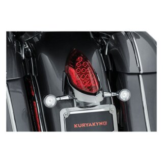 Kuryakyn, custom rear turn signal&license plate mount chrome