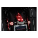 Kuryakyn, custom rear turn signal&license plate mount...