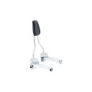 Kuryakyn, All in one sissy bar kit 21". Chrome