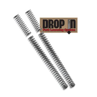 Progressive Drop in Gabel Tieferlegung 39mm für Harley Sportster 16-20