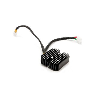 Ricks Lithium ion battery compatible rec-regulator