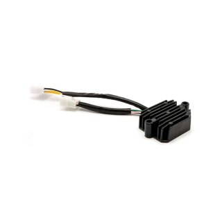 Ricks Lithium ion battery compatible rec-regulator