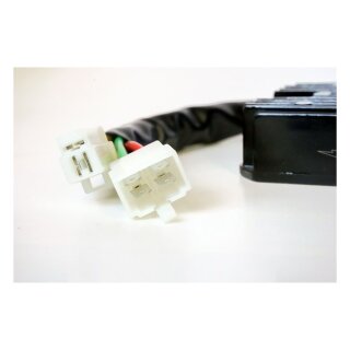 Ricks Lithium ion battery compatible rec-regulator