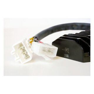 Ricks Lithium ion battery compatible rec-regulator