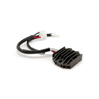 Ricks Lithium ion battery compatible rec-regulator