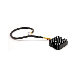 Ricks Lithium ion battery compatible rec-regulator