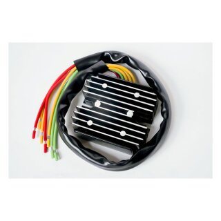 Ricks universal Perm. Magnet Lithium Ion rec-regulator