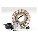 Ricks stator, OEM style BMW