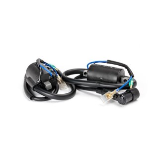 Ricks ignition coils