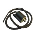 Ricks ignition coil