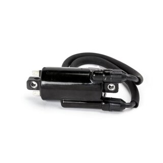 Ricks ignition coil