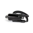 Ricks ignition coil
