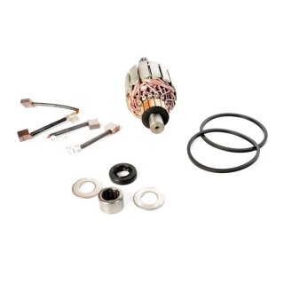 Ricks starter motor rebuild kit