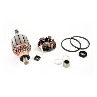 Ricks starter motor rebuild kit