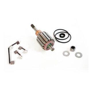 Ricks starter motor rebuild kit