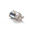 Ricks starter motor