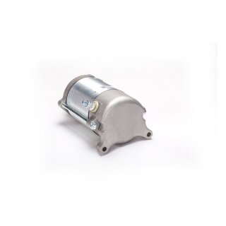Ricks starter motor