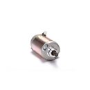 Ricks starter motor